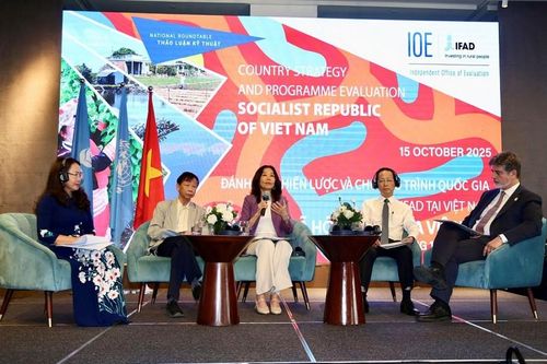 Việt Nam và IFAD hợp tác kiến tạo tương lai xanh, bền vững và bao trùm