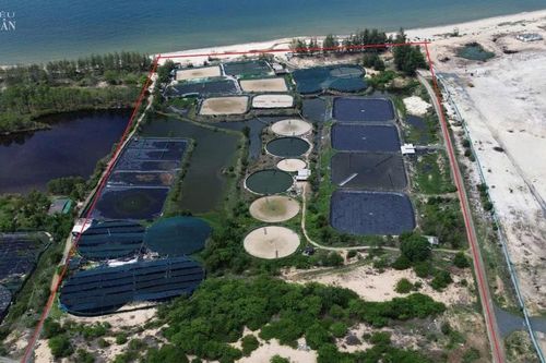 Vụ bồi thường '0 đồng' về đất tại KCN Sơn Mỹ I: Một phán quyết hợp tình, hợp lý sẽ tạo đà phát triển cả vùng