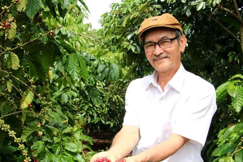 Kinh nghiệm hay - Cách làm tốt: Người thầy 'gieo tri thức' trên vườn cà phê hữu cơ