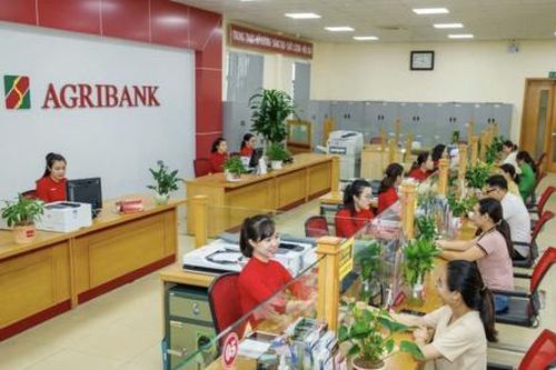 Ngân hàng hạ lãi suất giúp doanh nghiệp hồi phục sau bão