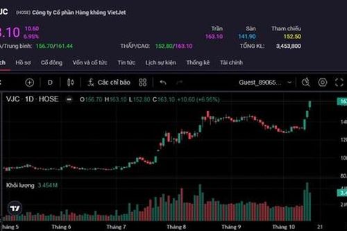 Cổ phiếu duy nhất trong VN30 tăng trần trong ngày VN-Index 'đỏ lửa'