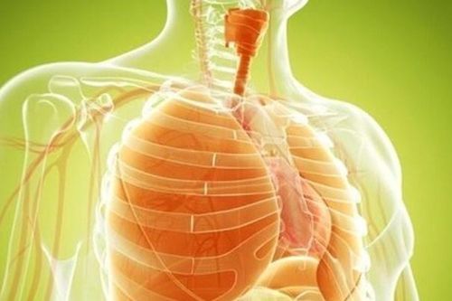Tập thở đúng cách tăng cường sức khỏe phổi và hệ hô hấp