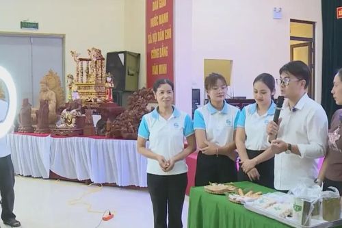 Doanh nghiệp, hộ kinh doanh bán hàng trên nền tảng số