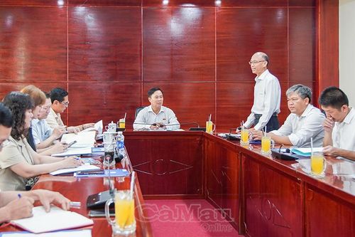 Đoàn đại biểu Quốc hội làm việc với Công ty Điện lực Cà Mau