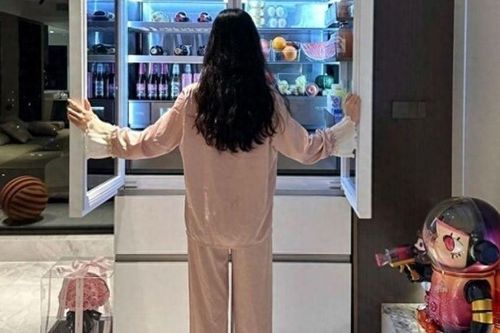 Tủ lạnh 5 triệu và 50 triệu khác nhau thế nào? Tìm hiểu rồi mới thấy đúng là tiền nào của nấy!