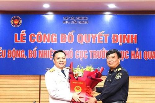 Điều động, bổ nhiệm Phó Cục trưởng Cục Hải quan