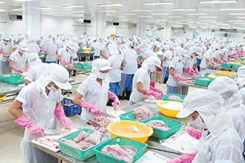 Thủy sản Mekong giải trình chênh lệch lợi nhuận