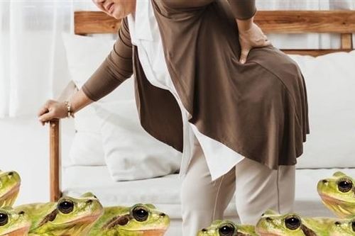Nuốt nhái sống để… chữa đau lưng!
