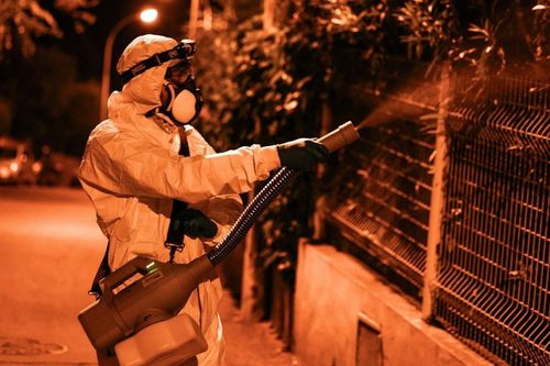 Loại virus khiến Trung Quốc báo động đã xuất hiện tại Mỹ