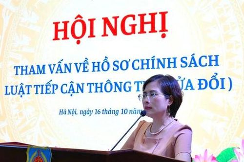 Tham vấn về hồ sơ chính sách Luật Tiếp cận thông tin (sửa đổi)