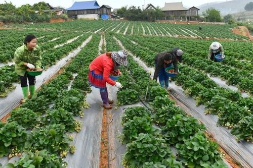 Bài 2: Kiểm soát quy hoạch, phát huy vai trò của chính quyền địa phương