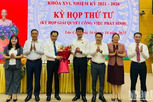 Lào Cai ban hành chính sách hỗ trợ khôi phục sản xuất nông nghiệp do thiên tai, dịch bệnh