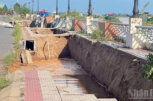 Đồng Tháp: Tiếp tục sạt lở nghiêm trọng tại tuyến kè Thường Thới Tiền