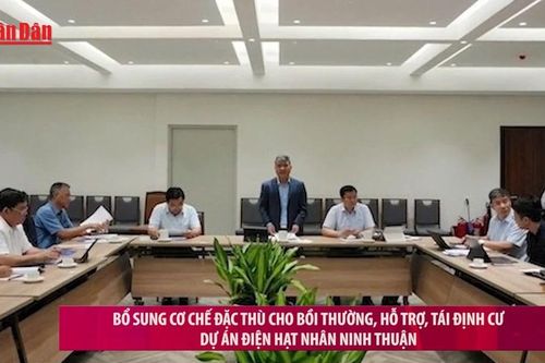 Bổ sung cơ chế đặc thù cho bồi thường, hỗ trợ, tái định cư dự án điện hạt nhân Ninh Thuận