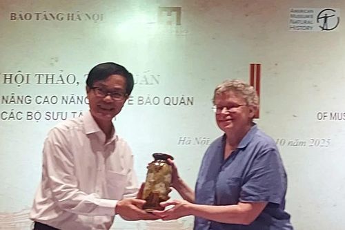 Chuyên gia bảo tàng Hoa Kỳ hướng dẫn bảo quản bộ sưu tập ảnh