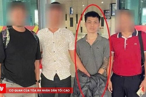 Bắt đối tượng trốn truy nã từ Hải Phòng lẩn trốn ở TP.HCM