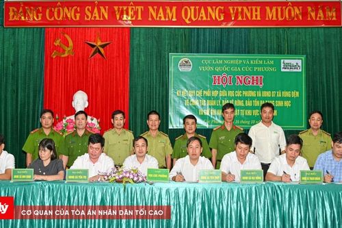 VQG Cúc Phương và 7 xã vùng đệm chung tay bảo vệ, phát triển rừng bền vững