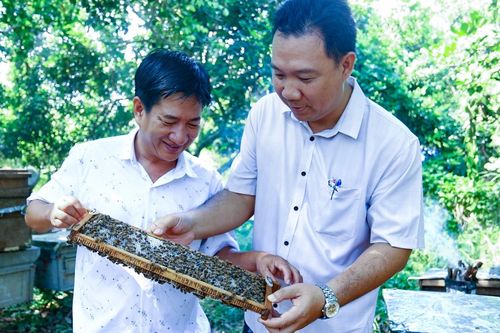 Từ 'thợ săn mật' đến ông chủ trang trại ong doanh thu 25 tỷ đồng/năm ở Đồng Nai