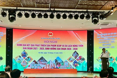 OCOP – Động lực bền vững cho kinh tế nông thôn Việt Nam