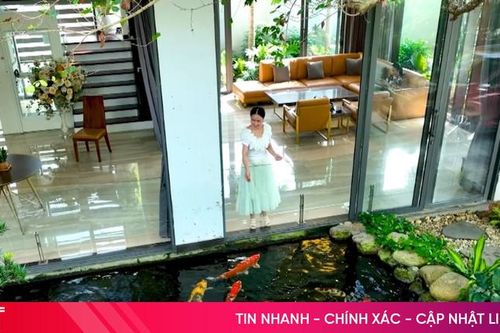 Khi cá Koi 'bơi' vào nhà phố
