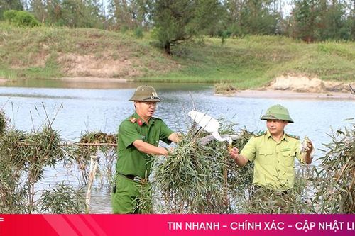 Theo chân lực lượng chức năng 'đột kích' phá bẫy chim trời