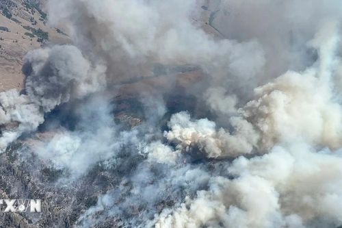 Nồng độ CO2 toàn cầu tăng cao kỷ lục, WMO cảnh báo vòng xoáy khí hậu nguy hiểm