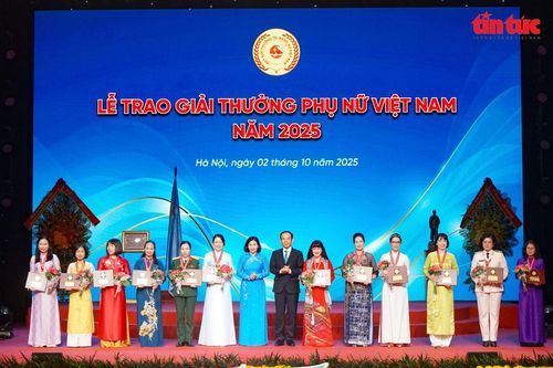Nghệ nhân Nguyễn Thị Hải: Hồi sinh giống chè cổ, đưa hương trà quê vươn xa