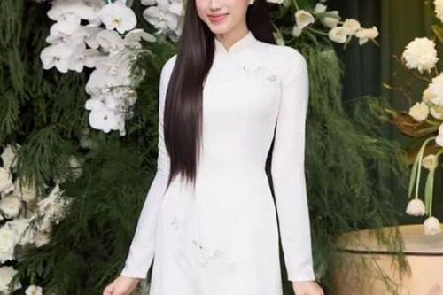Hoa hậu Đỗ Thị Hà dạm ngõ, 'Tập đoàn Sơn Hải' lên top 1 Google Trending