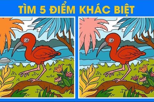 5 bộ câu đố vui giúp phát triển IQ của trẻ