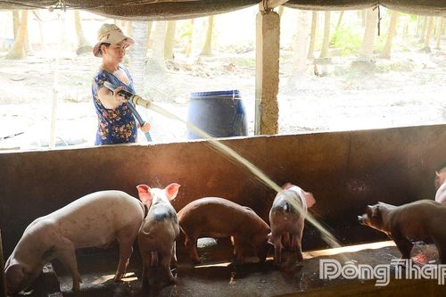 Giá nông sản biến động thất thường