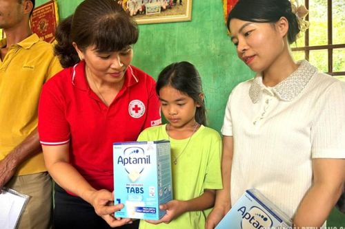 Trao tặng nhu yếu phẩm, kinh phí hỗ trợ người dân vùng lũ tại xã Hữu Lũng và xã Vân Nham