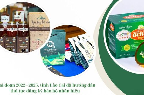 Bảo vệ quyền sở hữu trí tuệ trong nông nghiệp