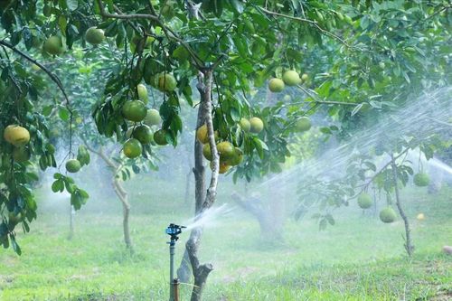 Nông dân Lào Cai trong môi trường số