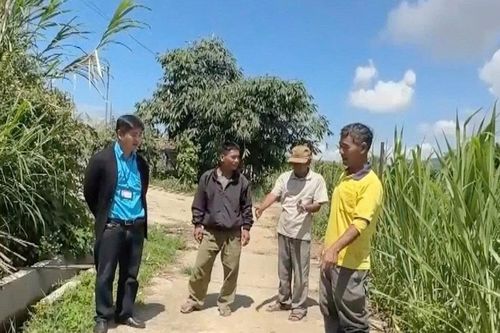 Già làng Maren - niềm tự hào của đồng bào K'Ho