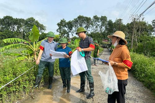 Cưỡng chế kiểm đếm, giải phóng mặt bằng thực hiện Dự án Khu đô thị Ninh Thắng I