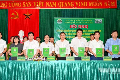 Vườn Quốc gia Cúc Phương và các xã vùng đệm ký kết phối hợp, tăng cường bảo vệ rừng, phát triển bền vững