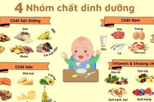 Cân bằng 4 nhóm chất trong bữa ăn của trẻ: Nền tảng cho bé phát triển toàn diện