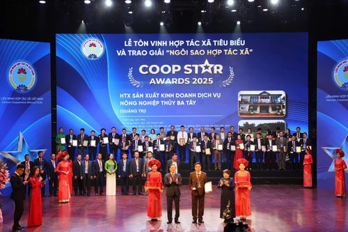 Tiếp nối truyền thống 'Gió Đại Phong'