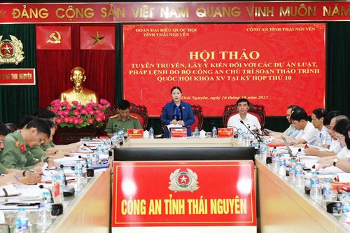 Lấy ý kiến đối với 11 dự án luật, pháp lệnh do Bộ Công an chủ trì soạn thảo
