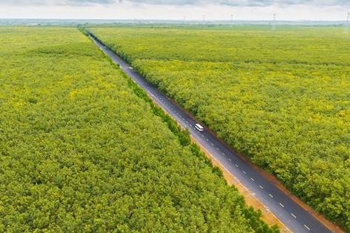 Gỡ rào cản, nối thông đường Hồ Chí Minh