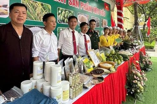 Hà Nội: Mỹ Đức phát triển nông nghiệp xanh, nông dân số