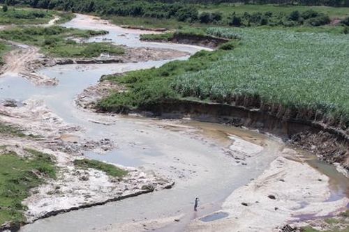 Gia Lai: Sông Ayun mùa lũ đỏ ngầu, nuốt hàng trăm hecta đất canh tác của người dân