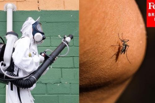 New York phát hiện ca nhiễm virus chikungunya