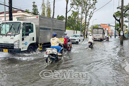 Chủ động ứng phó triều cường, sạt lở