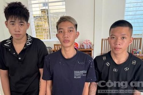 Bắt 3 thanh niên từ Quảng Trị vào Đà Nẵng trộm cắp tài sản hơn 112 triệu đồng