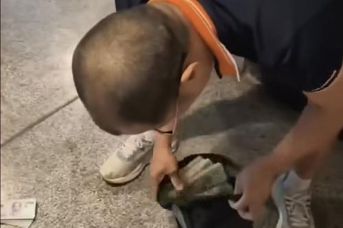 Công an xác minh vụ tranh giành nhiều cọc tiền tại khu chung cư cao cấp ở Hà Nội