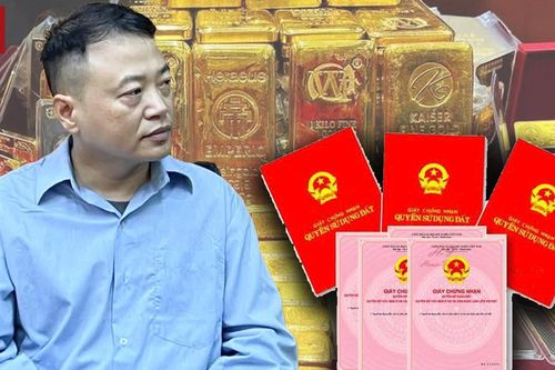 Vụ Shark Bình: Khối tài sản 900 tỷ đồng, 600 cây vàng bị kê biên xử lý thế nào?