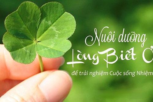 Dạy con điều này, cả đời sau cha mẹ không phải hối tiếc, con cái sống hạnh phúc hơn