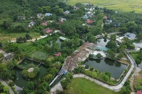 Lộ diện đơn vị hợp tác với trại gà không phép ở Phú Thọ khiến dân khổ vì mùi hôi nhiều năm