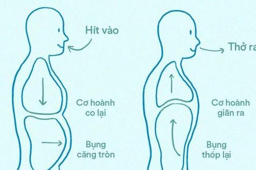 5 bài tập dưỡng sinh tốt cho phổi